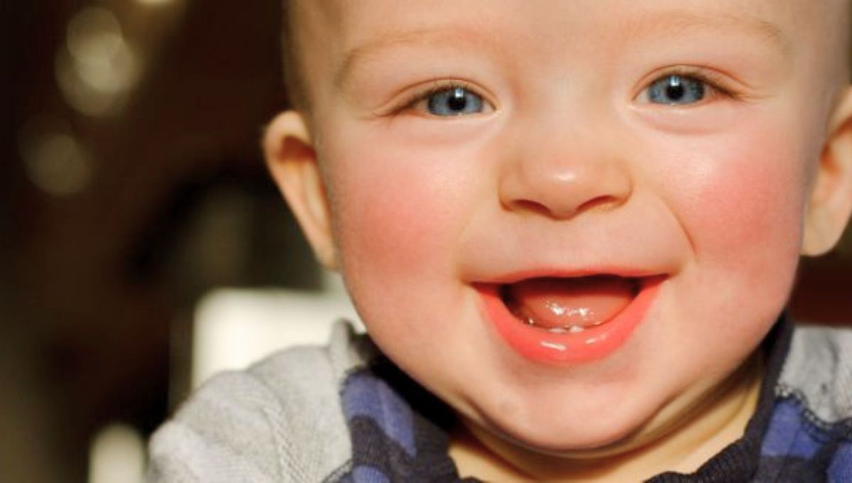 La explicación del por qué nos sonrojamos sigue siendo uno de las más grandes lagunas en la teoría de la evolución ¿por qué entre todos los animales humanos somos los únicos que nos sonrojamos? La explicación del por qué nos sonrojamos sigue siendo uno de las más grandes lagunas en la teoría de la evolución ¿por qué entre todos los animales humanos somos los únicos que nos sonrojamos?