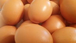 El huevo es uno de los alimentos más completos en la dieta de las personas.