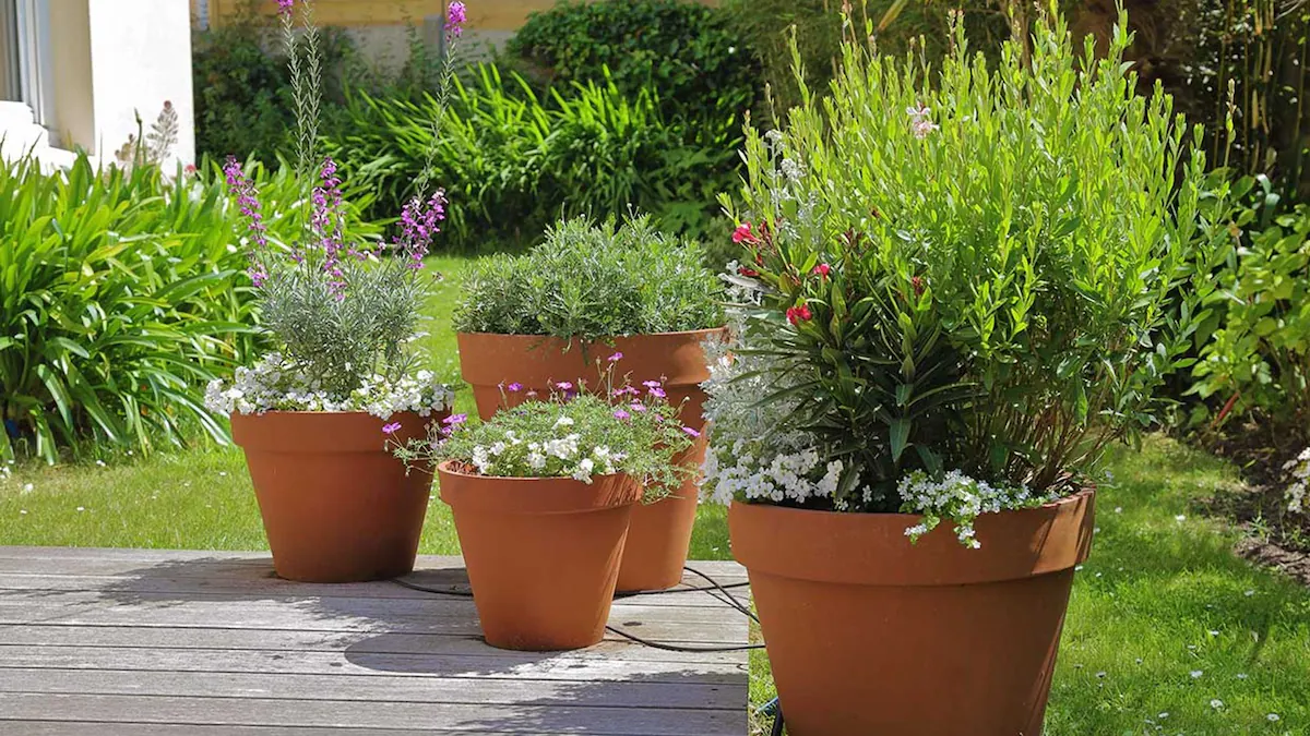 Reemplaza las macetas de tu jardín, por unos recipientes hechos con ramas y una botella. Imagen: Freepik. Reemplaza las macetas de tu jardín, por unos recipientes hechos con ramas y una botella. Imagen: Freepik.