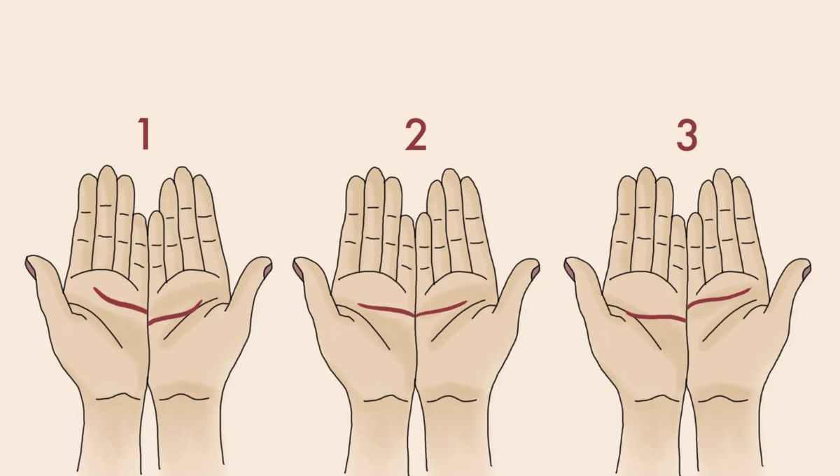 Observa las líneas de tu mano y revela rasgos únicos de tu carácter
