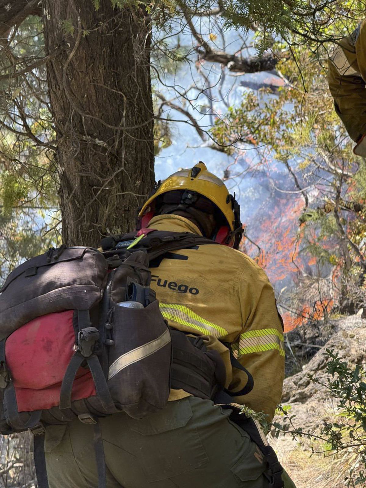 La Nación envió casi 300 brigadistas a Chubut. La Nación envió casi 300 brigadistas a Chubut.