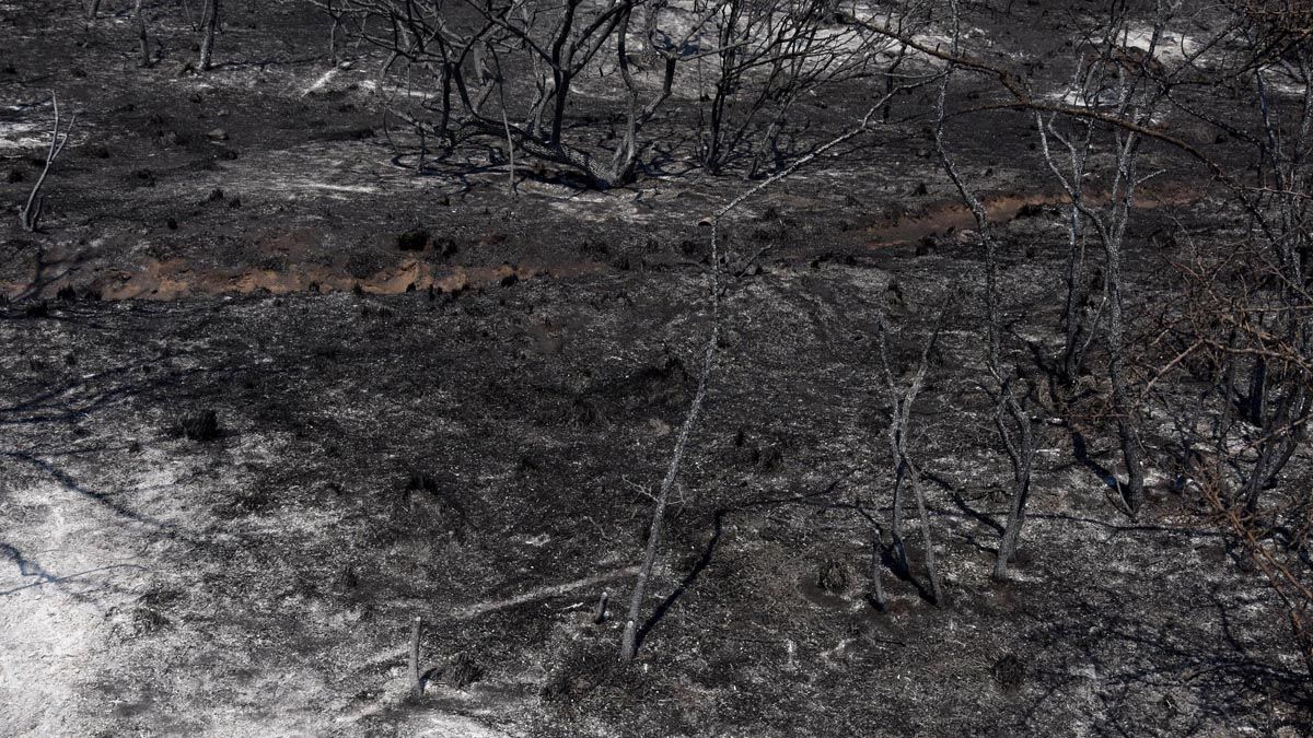 Córdoba: Más de 300 bomberos voluntarios combatían esta mañana los tres incendios forestales que se mantienen activos en Alta Gracia, el norte de Punilla y Alpa Corral, en las sierras de Córdoba, en una jornada que se presenta con pronóstico de fuertes vientos desde el norte y sin lluvias.