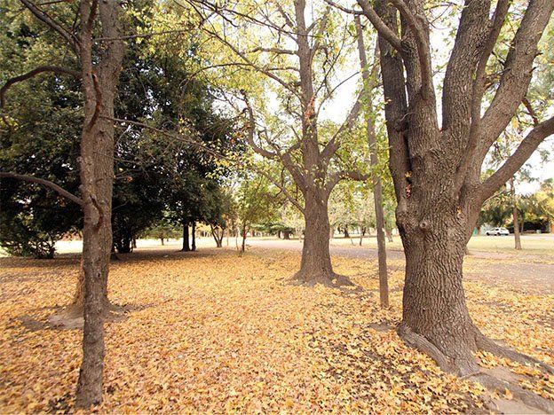 El Otoño llegará este jueves a las 13 horas 58 minutos