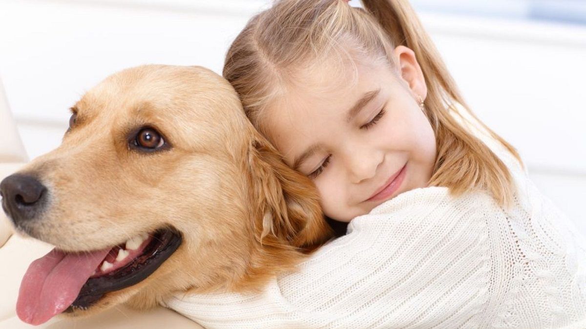 Los perros labradores son ideales para los niños
