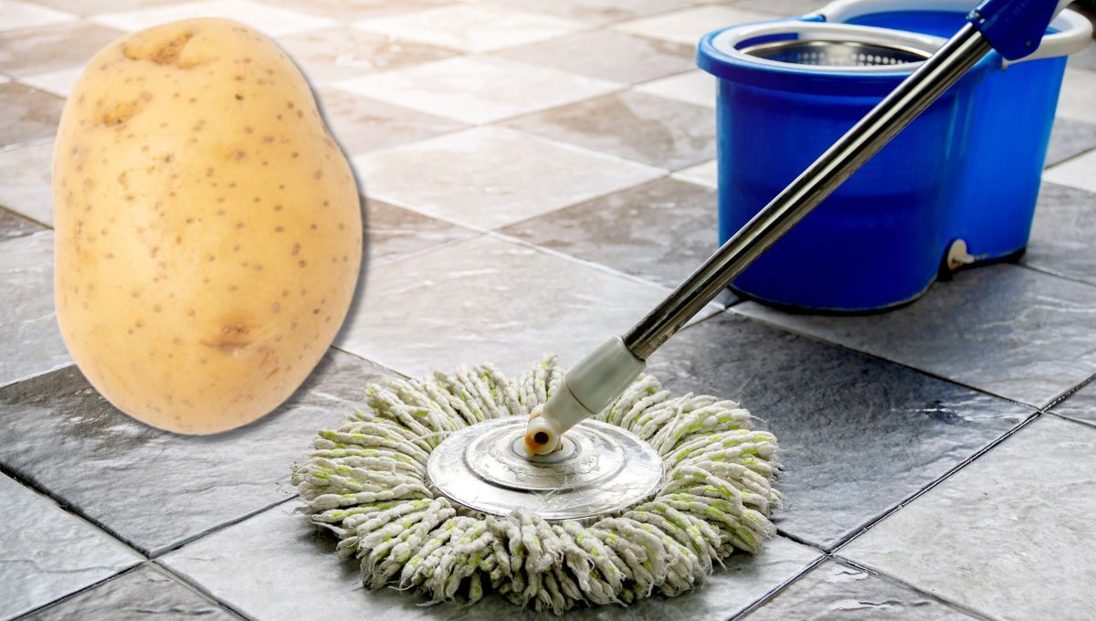 Por qué hay que poner la cáscara de una papa en el balde que usas para trapear