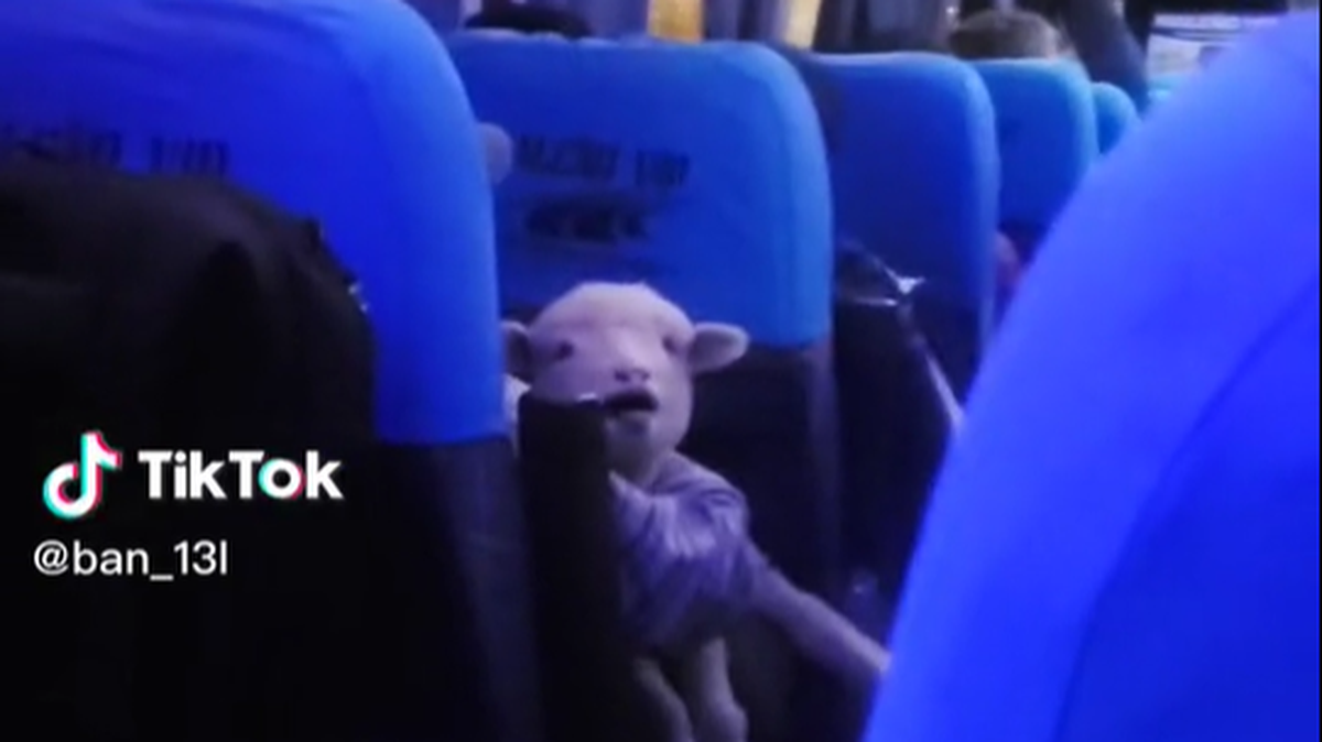 Un chico se hizo viral tras mostrar una insólita situación en Tiktok