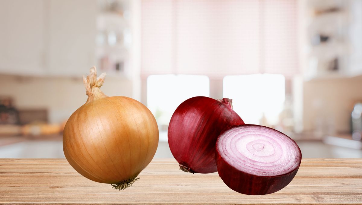 Son dos alimentos con diferencias marcadas. Son dos alimentos con diferencias marcadas. 