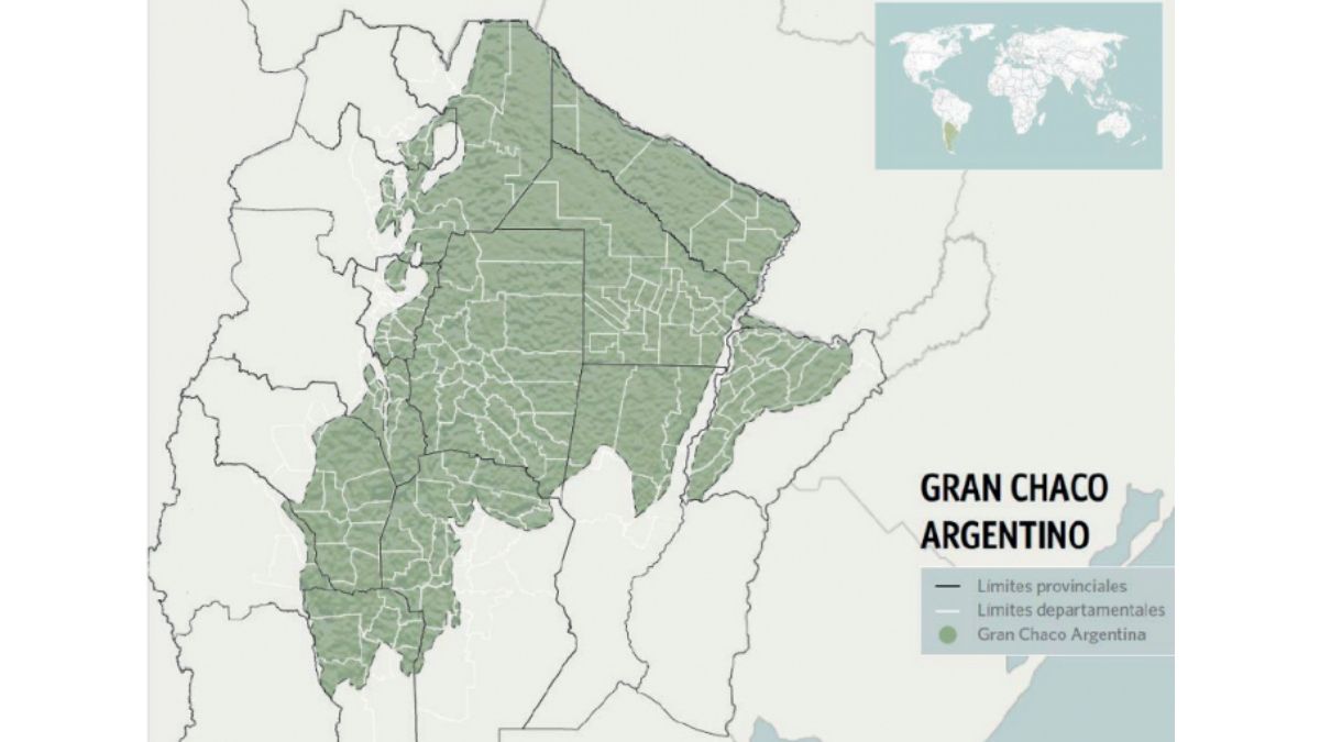 Fuente: Reporte Anual ViSeC Fuente: Reporte Anual ViSeC