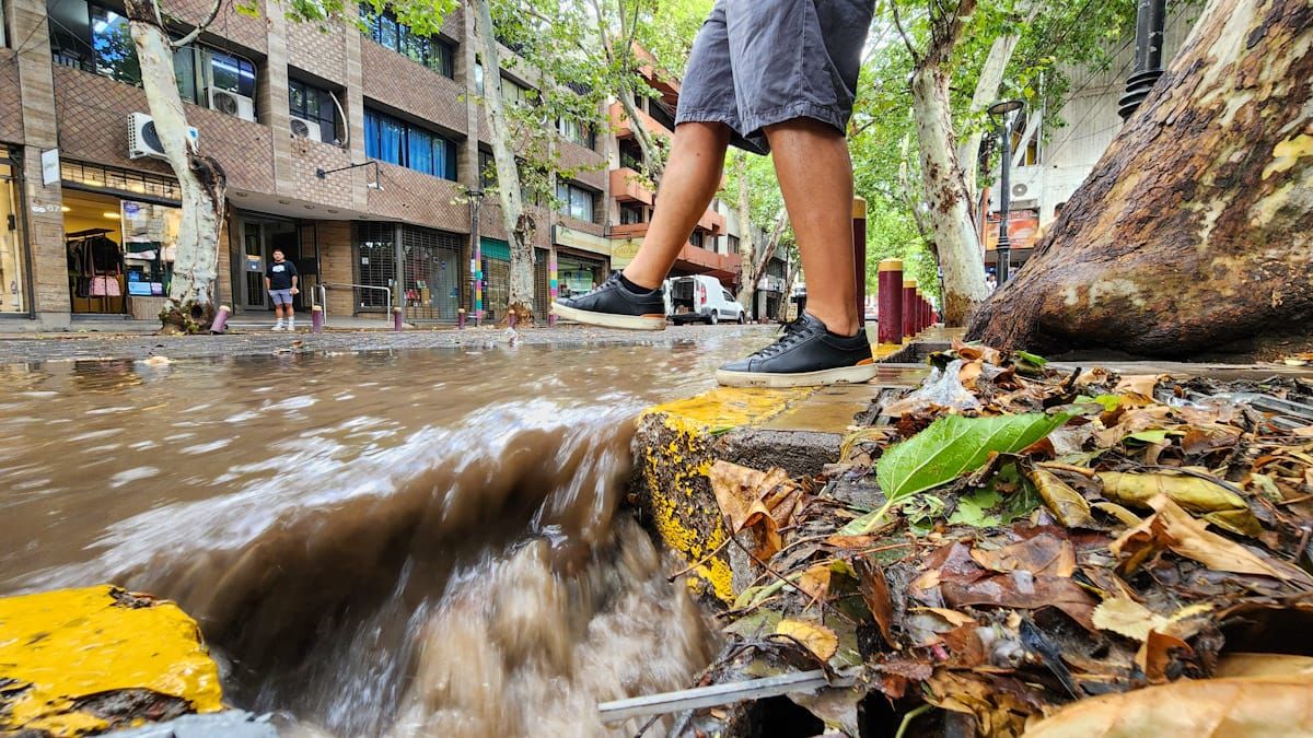 Se esperan lluvias para este fin de semana. según muestra el pronóstico del tiempo de la Dirección de Contingencias Climáticas. Se esperan lluvias para este fin de semana. según muestra el pronóstico del tiempo de la Dirección de Contingencias Climáticas.