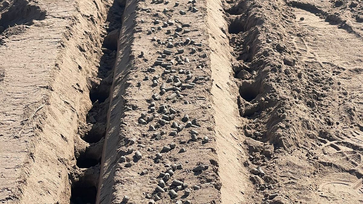 Blocompost de Simbios: enmienda orgánica que mejora estructura, microbiología y disponibilidad de nutrientes. Blocompost de Simbios: enmienda orgánica que mejora estructura, microbiología y disponibilidad de nutrientes.