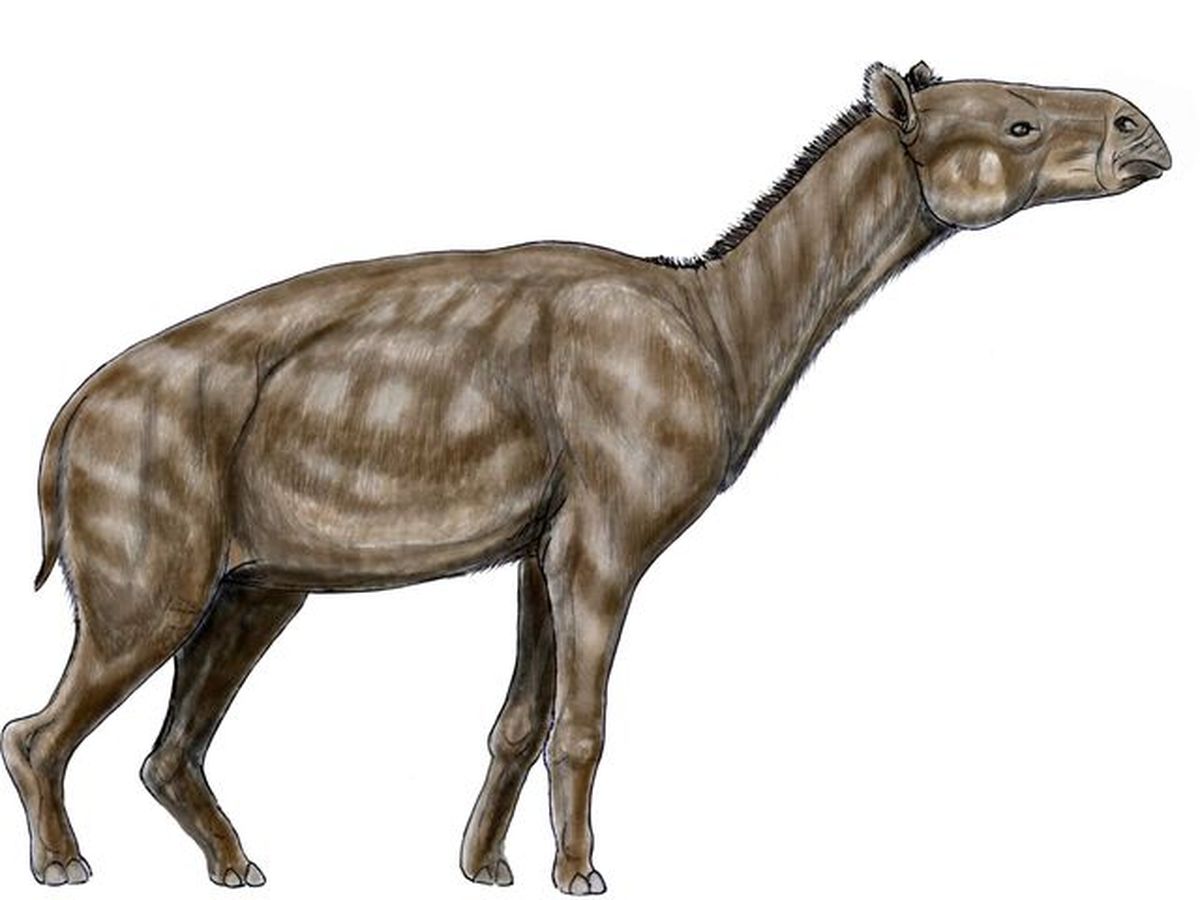 El inesperado derrumbe en España que desnudó un descubrimiento de millones de años El inesperado derrumbe en España que desnudó un descubrimiento de millones de años