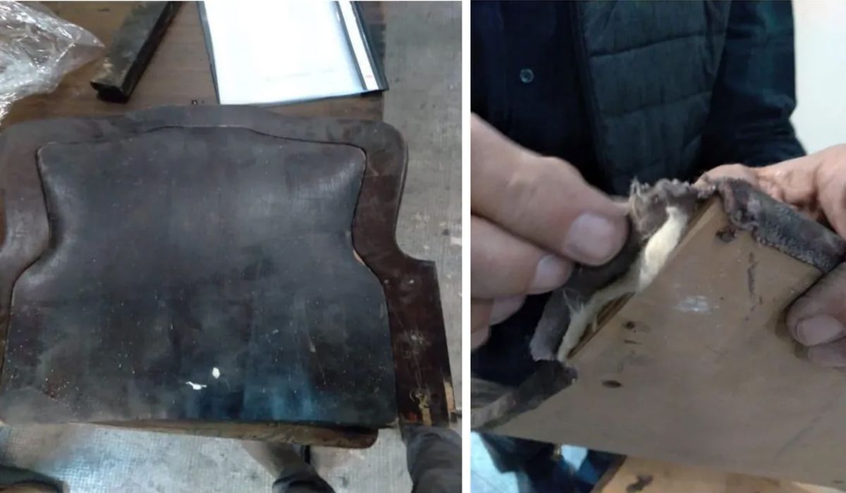 El notorio deterioro de las batucas del Teatro Independencia. El notorio deterioro de las batucas del Teatro Independencia.