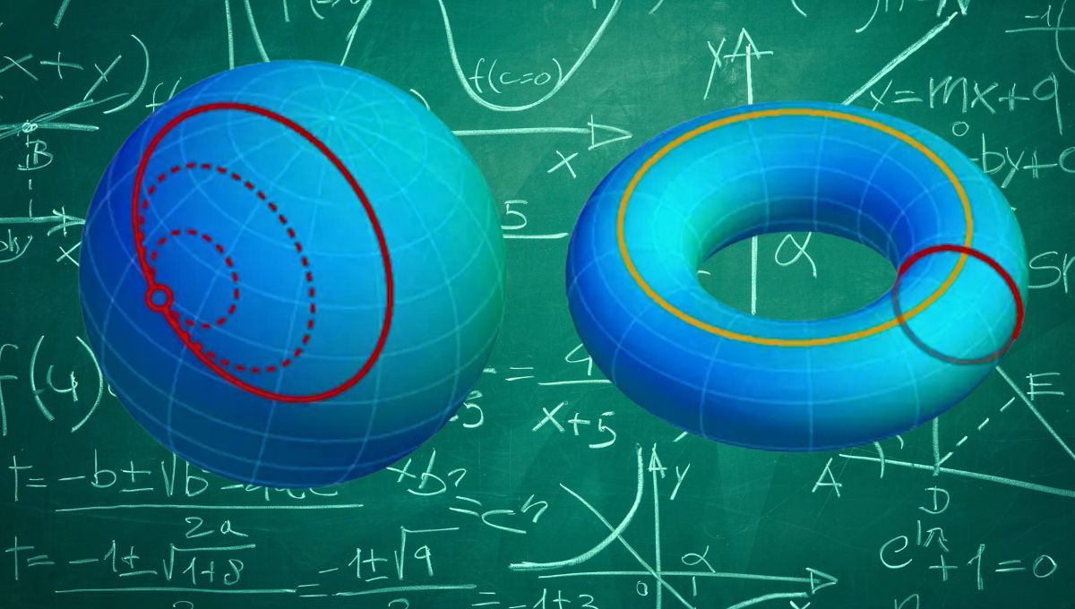 Según Poincaré, toda forma cerrada y sin agujeros que exista en un espacio de “n” dimensiones es, en esencia, una esfera de esas mismas dimensiones. Según Poincaré, toda forma cerrada y sin agujeros que exista en un espacio de “n” dimensiones es, en esencia, una esfera de esas mismas dimensiones.