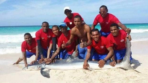 Un tiburón agonizó hasta la muerte mientras unos socorristas posan con él para una foto