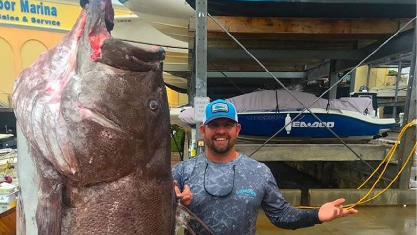 Atrapó un pez de 160 kilos y resultó ser un espécimen que sorprendió por su edad