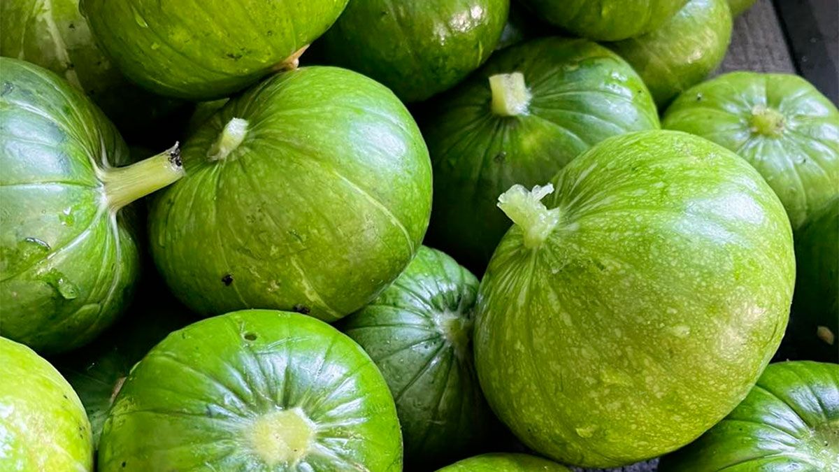 Beneficios de comer zapallito redondo