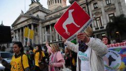 Incidentes en el Congreso entre defensores y detractores de las carreras de galgos