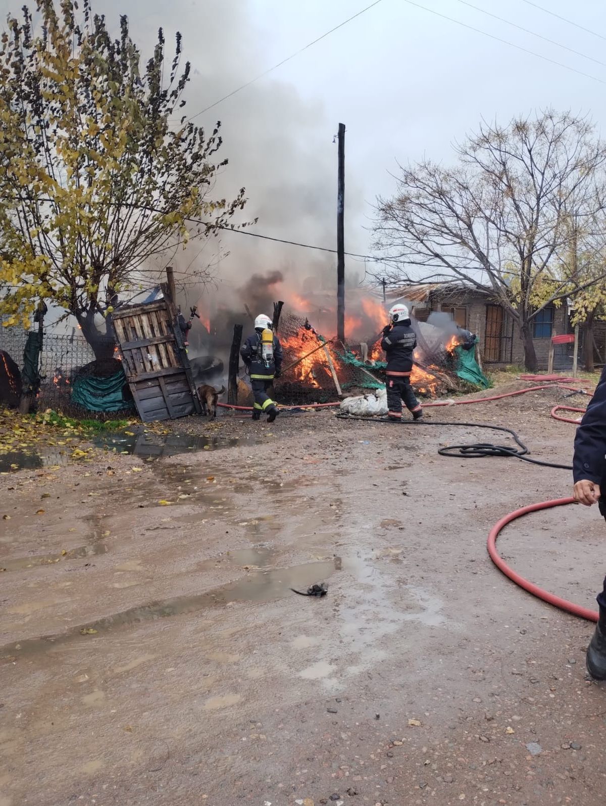 Varias dotaciones de Bomberos llegaron para apagar el incendio en Luján de Cuyo. Varias dotaciones de Bomberos llegaron para apagar el incendio en Luján de Cuyo.