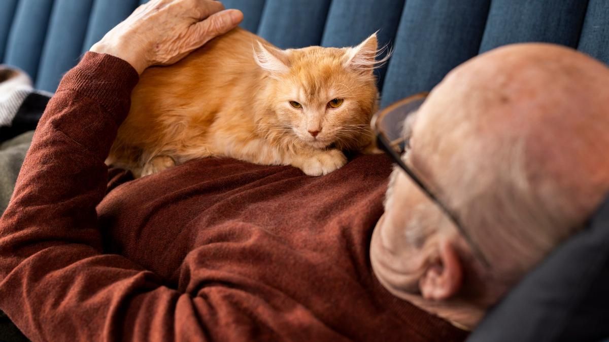 El sencillo truco con el que mejorarás la comunicación con tu gato, según expertos El sencillo truco con el que mejorarás la comunicación con tu gato, según expertos