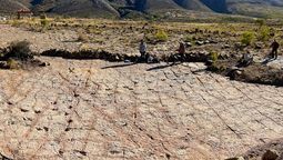Las huellas fueron descubiertas en un parque de Bolivia. Las huellas fueron descubiertas en un parque de Bolivia.