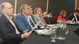 Carmona criticó la filtración del trabajo en la Comisión Bicameral del Ara San Juan