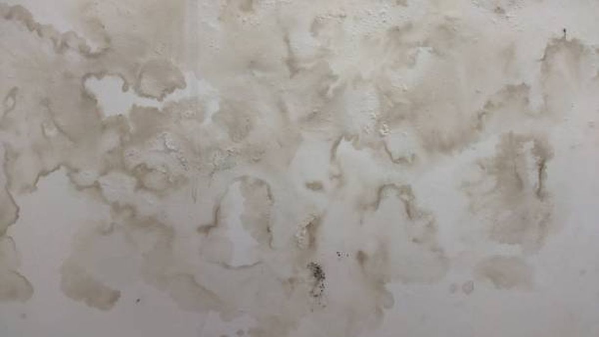 Las manchas de humedad serán problema del pasado. Las manchas de humedad serán problema del pasado.