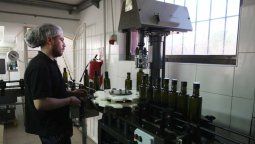 Empresarios reclaman una ley que impulse al actividad agroindustrial