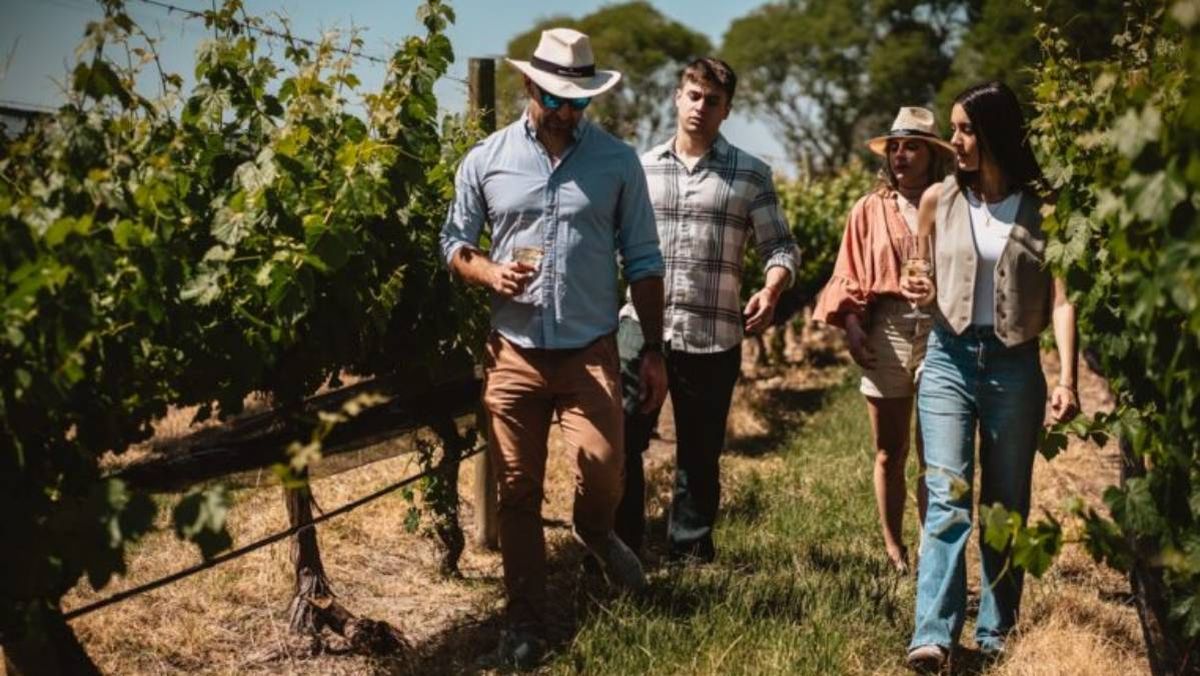 Recorrida por la Bodega Doña Paula, una de las experiencias de hospitalidad y sustentabilidad que fueron tenidas en cuenta para este premio. Recorrida por la Bodega Doña Paula, una de las experiencias de hospitalidad y sustentabilidad que fueron tenidas en cuenta para este premio.