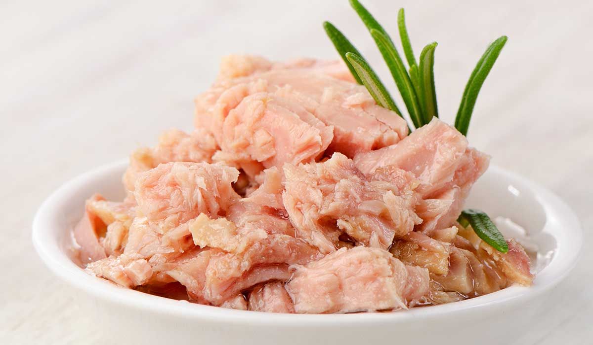 Los múltiples beneficios del atún Los múltiples beneficios del atún