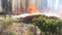 La rápida acción de los bomberos evitó mayores daños y una peligrosa propagación a los campos aledaños en el incendio de una maderera de Luján de Cuyo.