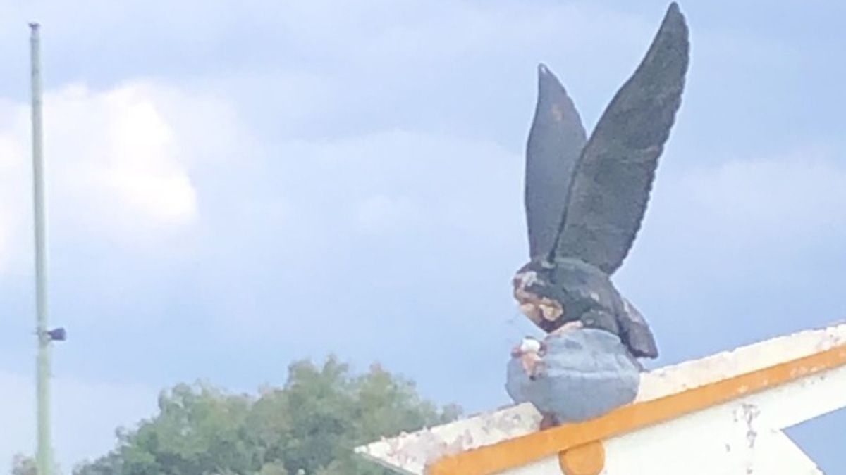 Así estaba el cóndor luego de la granizada que lo destruyó en 2022.