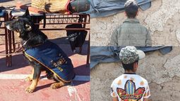 Snaiper, el perro de la Policía, y dos de los tres detenidos por el caso de un robo que resolvió el can. Snaiper, el perro de la Policía, y dos de los tres detenidos por el caso de un robo que resolvió el can.