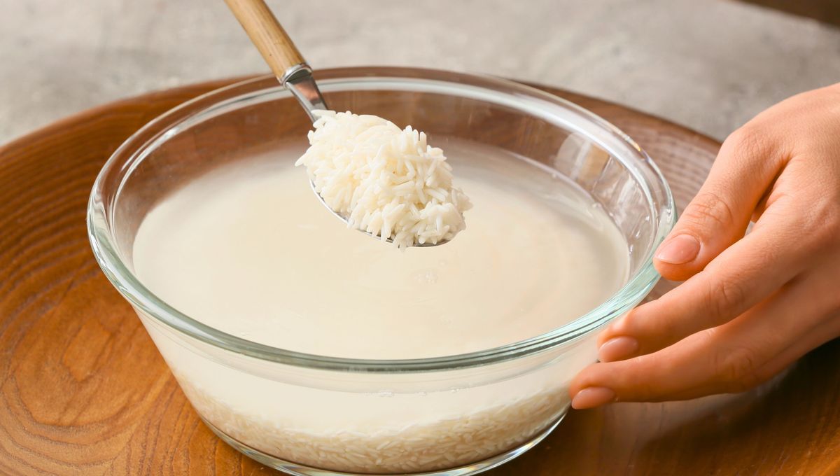 Utiliza las sobras de alimentos y bebidas para abonar las plantas Utiliza las sobras de alimentos y bebidas para abonar las plantas