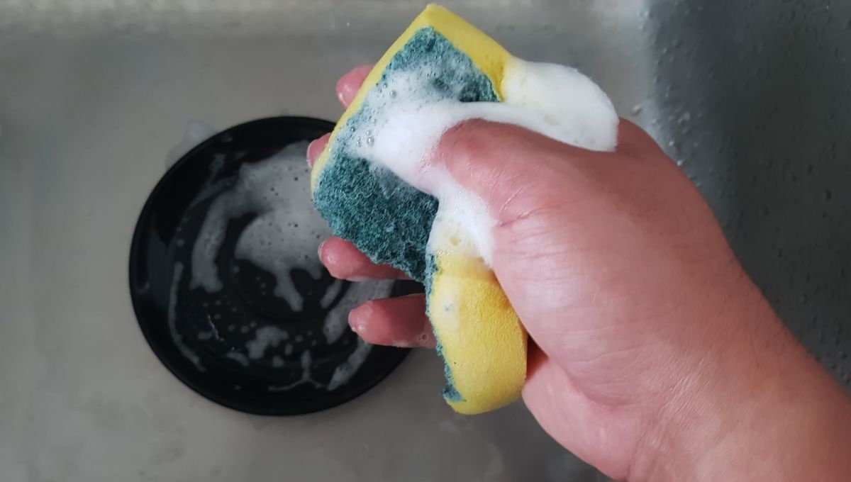 Las esponjas nunca deben dejarse mojadas, siempre hay que estrujarlas para retirar el exceso de agua. Las esponjas nunca deben dejarse mojadas, siempre hay que estrujarlas para retirar el exceso de agua. 