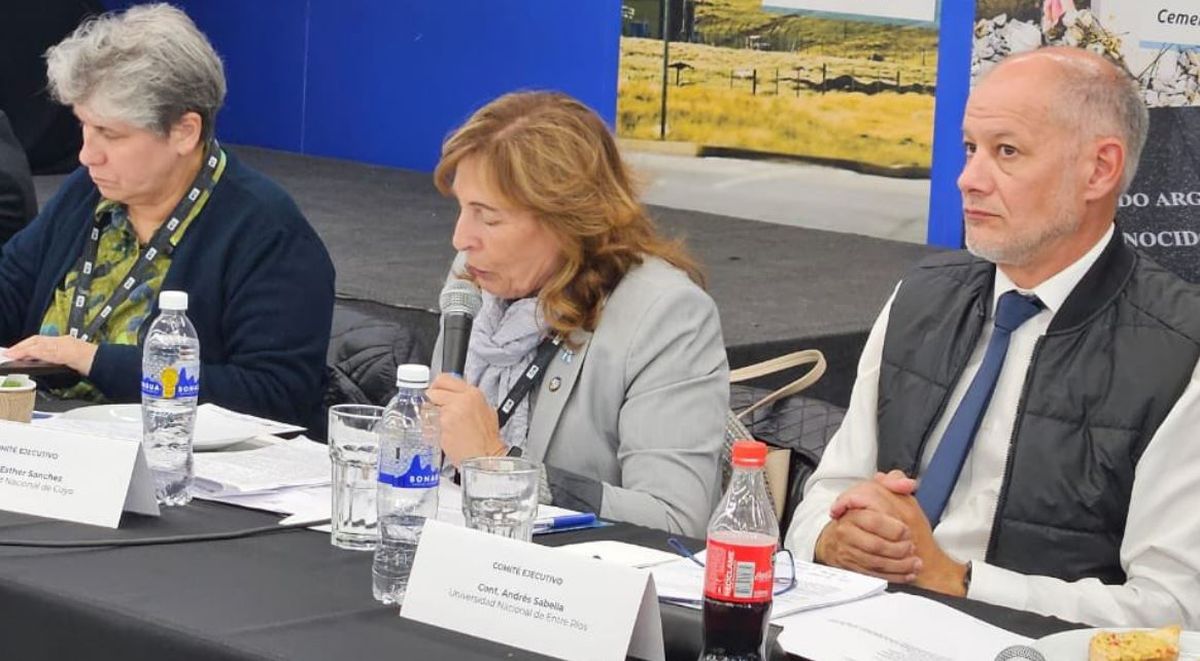 Esther Sanchez, de la UNCuyo, participó del debate de los rectores de las universidades públicas nacionales. Esther Sanchez, de la UNCuyo, participó del debate de los rectores de las universidades públicas nacionales.