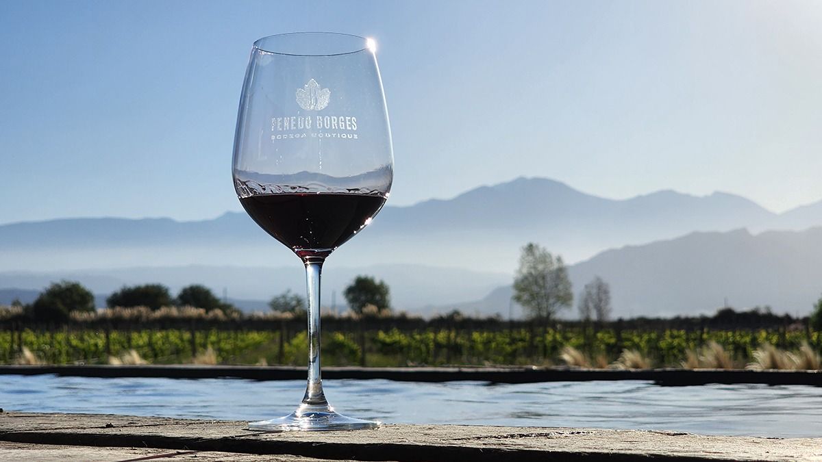 La tarde cae y da lugar para la charla en la bodega Penedo Borges.
