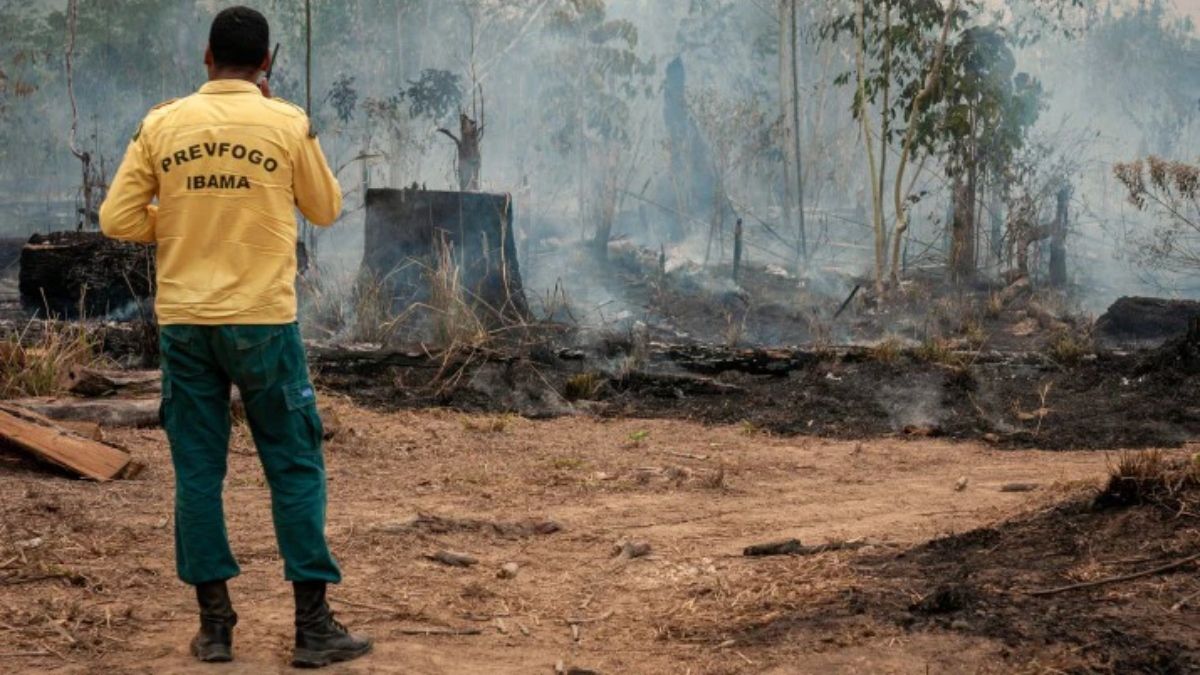 Un bombero en la selva amazónica de Brasil. Las emisiones de la deforestación y la agricultura contribuyen a que el país sea uno de los mayores emisores de gases de efecto invernadero del mundo (Imagen: Vinícius Mendonça / Ibama, CC BY-SA) Un bombero en la selva amazónica de Brasil. Las emisiones de la deforestación y la agricultura contribuyen a que el país sea uno de los mayores emisores de gases de efecto invernadero del mundo (Imagen: Vinícius Mendonça / Ibama, CC BY-SA)