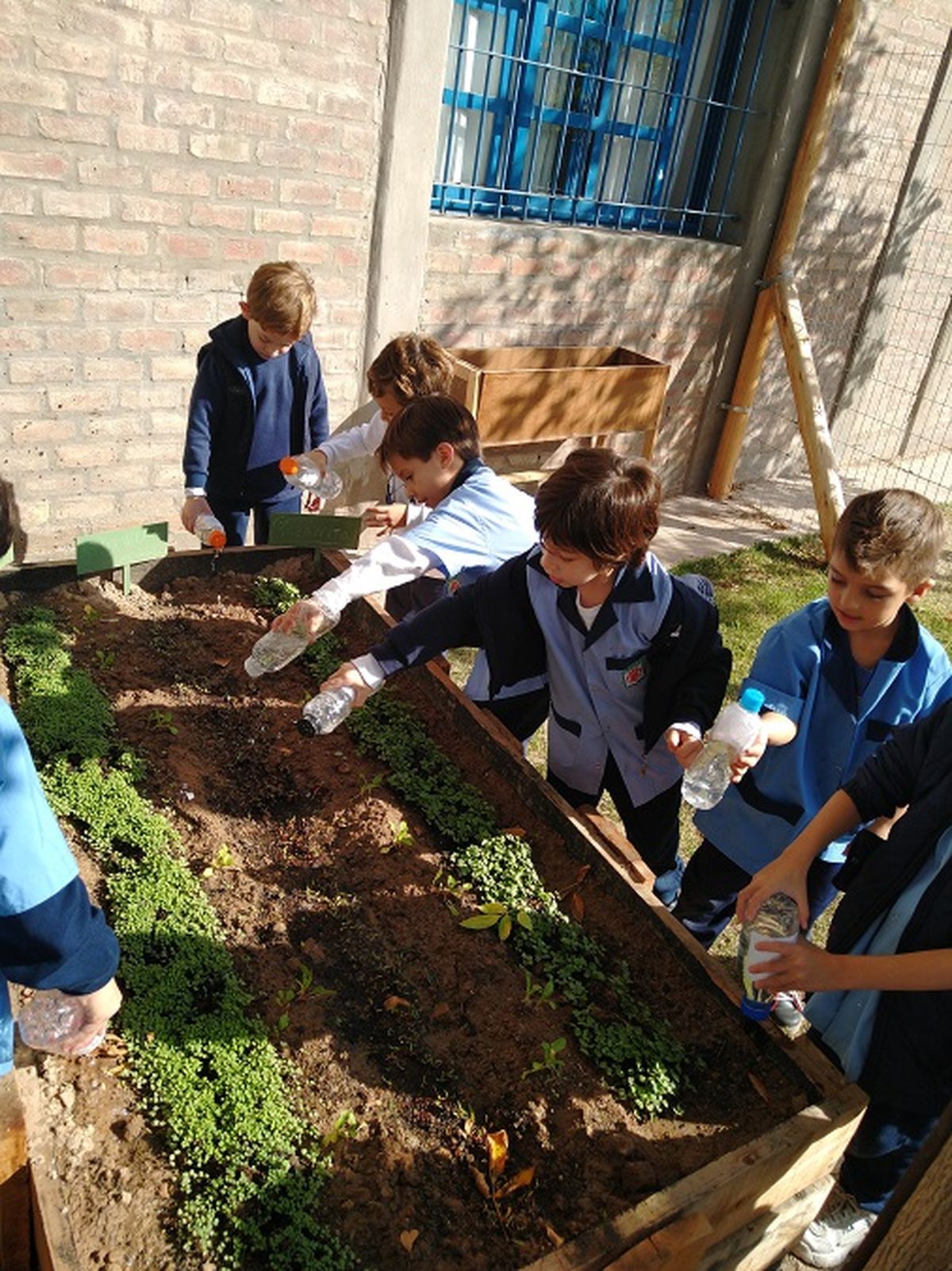 La fundación propicia la actividad educativa sistemática, de grado y la promoción de valores culturales.