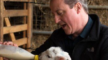 Según una biografía no autorizada David Cameron fue consumidor de drogas y practicante de la zoofilia