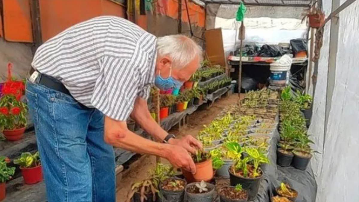 Rubén Viviani en su vivero de Córdoba.