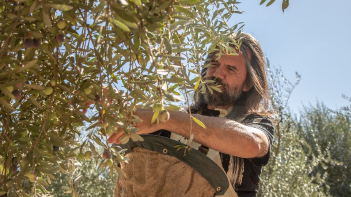 El pintor Fernando Jereb, entusiasmado con la cosecha.