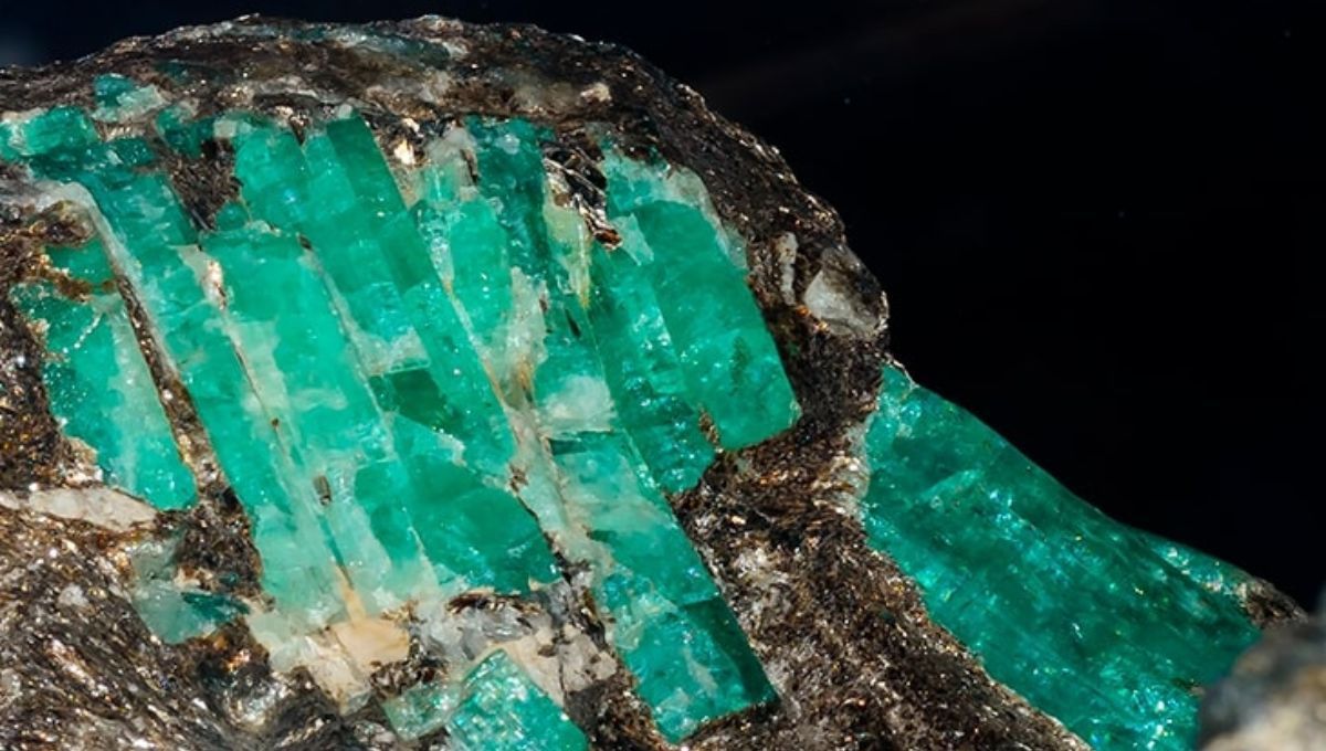 Su color y calidad han hecho que la esmeralda de Colombia sea estrechamente relacionada con la alta joyería internacional, siendo la favorita de diseñadores en todo el planeta Tierra. Su color y calidad han hecho que la esmeralda de Colombia sea estrechamente relacionada con la alta joyería internacional, siendo la favorita de diseñadores en todo el planeta Tierra.