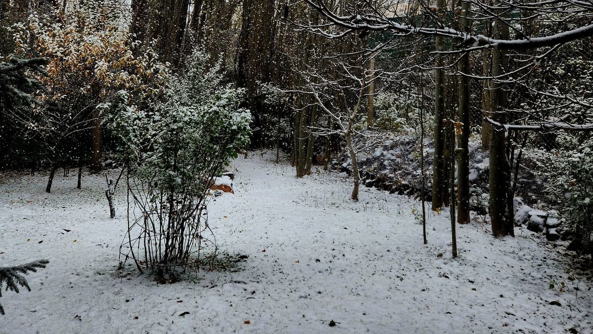 Las localidades de alta montaña amanecieron de blanco. Foto: Carmen Suárez González. Las localidades de alta montaña amanecieron de blanco. Foto: Carmen Suárez González.
