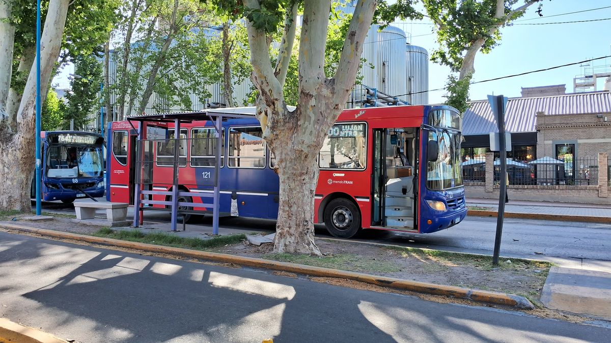 Once pasajeros, entre los choferes y pasajeros, tuvieron que ser atendidos en el lugar por heridas leves. Once pasajeros, entre los choferes y pasajeros, tuvieron que ser atendidos en el lugar por heridas leves.