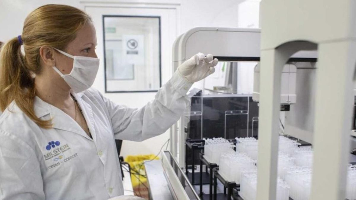 Viruela del mono: 10 nuevos casos se registraron en Argentina, siete de ellos en la Ciudad de Buenos Aires