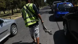 Los vecinos dicen que los trapitos traen algunos conflictos en la zona. Imagen ilustrativa. Los vecinos dicen que los trapitos traen algunos conflictos en la zona. Imagen ilustrativa.