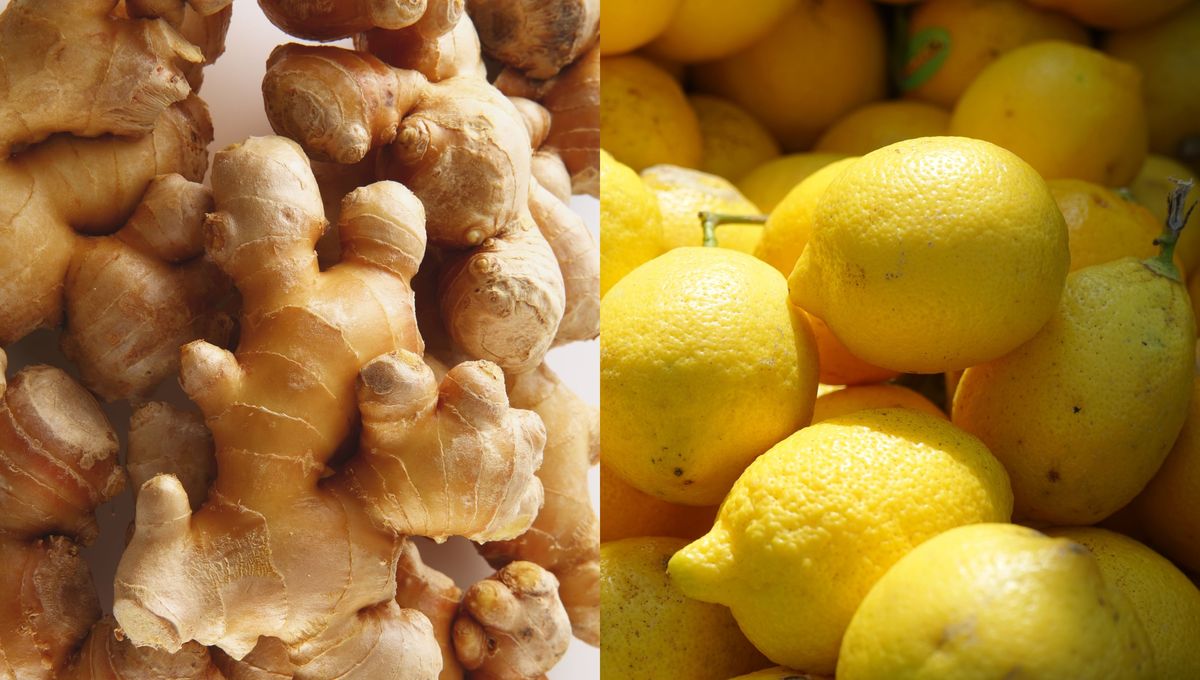 Puedes saborizar el mate con hierbas, yuyos y alimentos naturales de todo tipo. Puedes saborizar el mate con hierbas, yuyos y alimentos naturales de todo tipo. 