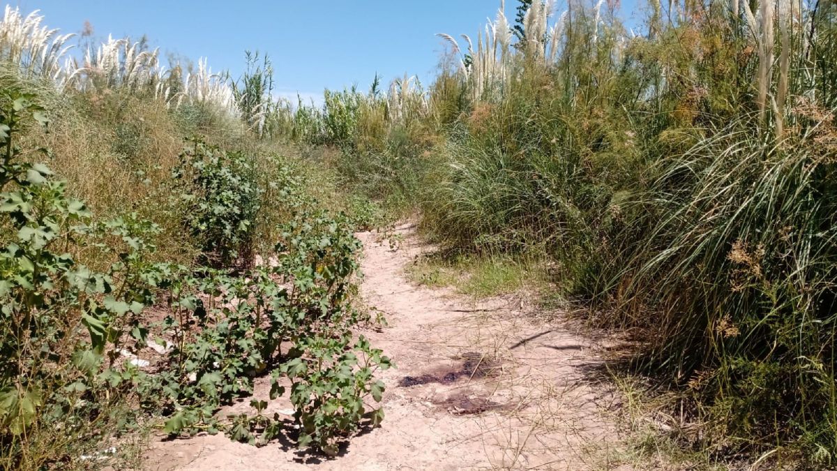 El lugar donde se encontró el cadáver. Foto: Julián Chabert.