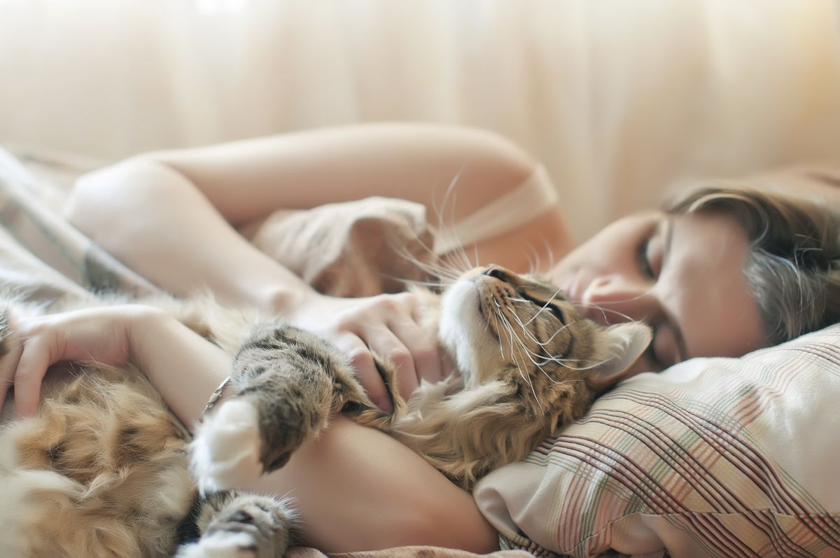 Los beneficios de dormir con un gato pueden ser emocionales. Los beneficios de dormir con un gato pueden ser emocionales.