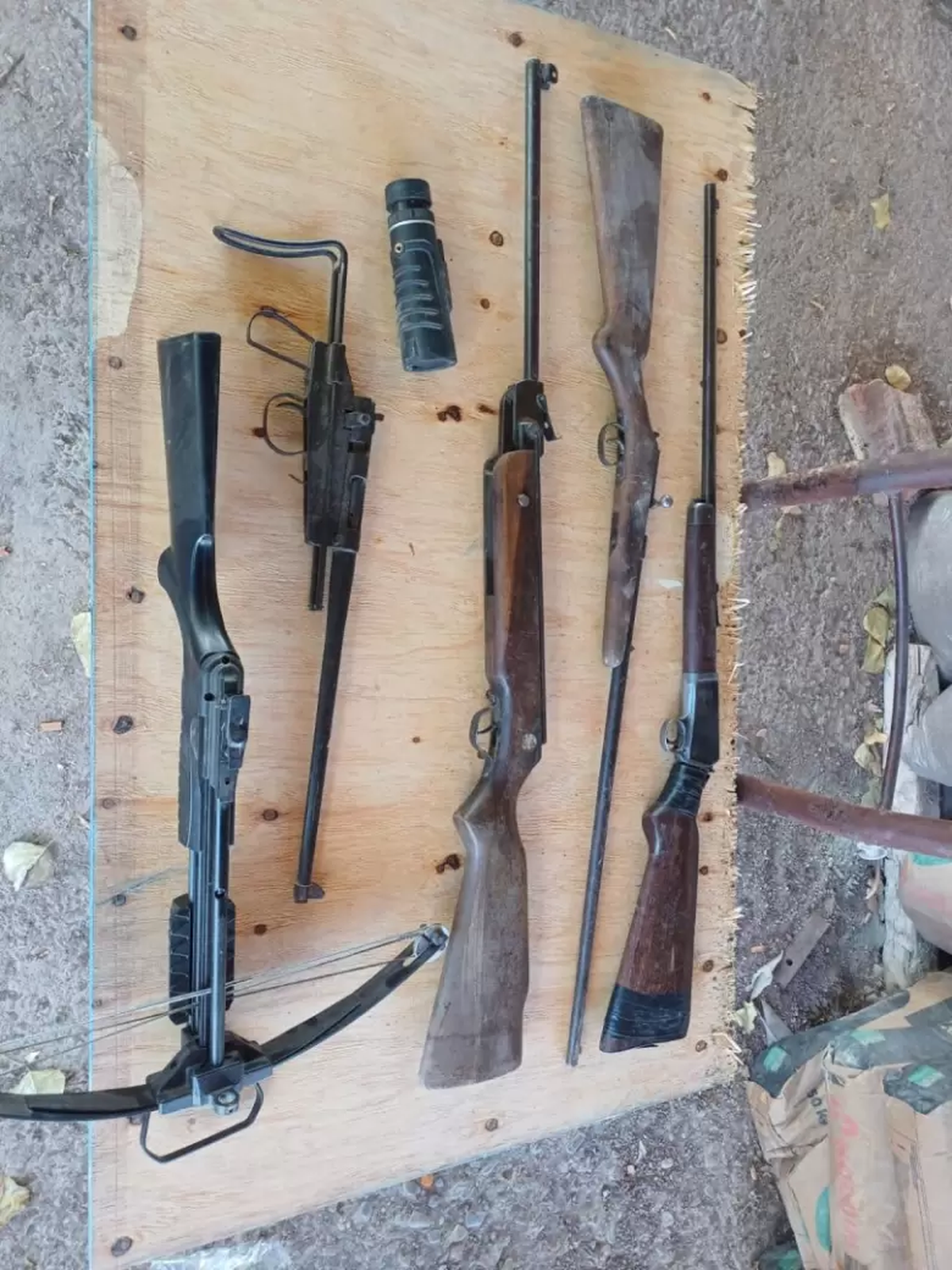 Las escopetas secuestradas en Ciudad. Las escopetas secuestradas en Ciudad.